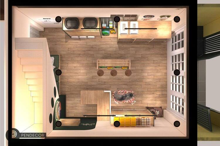 thiết kế cửa hàng thú cưng Pendecor
